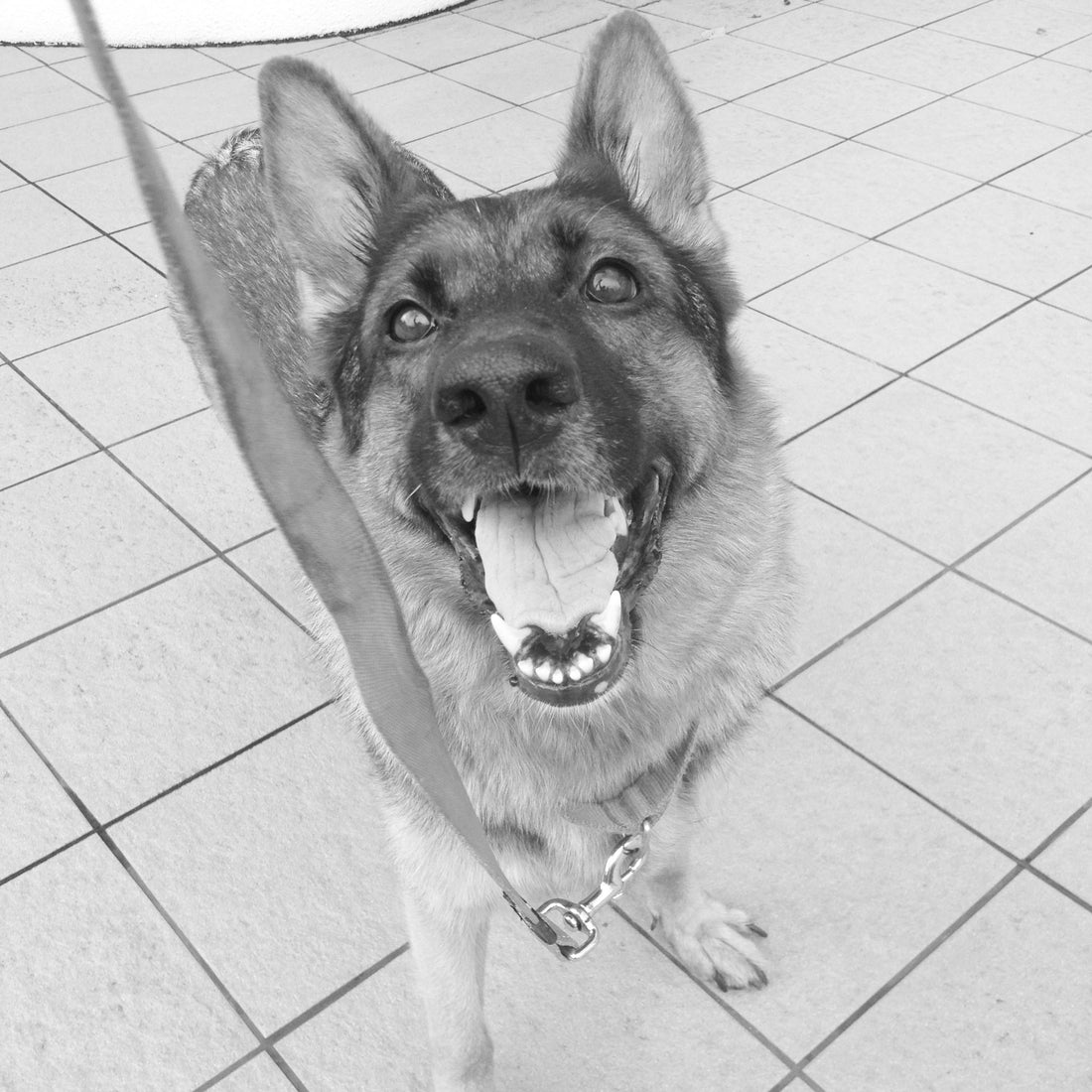 Sato: The Origins of Our Name