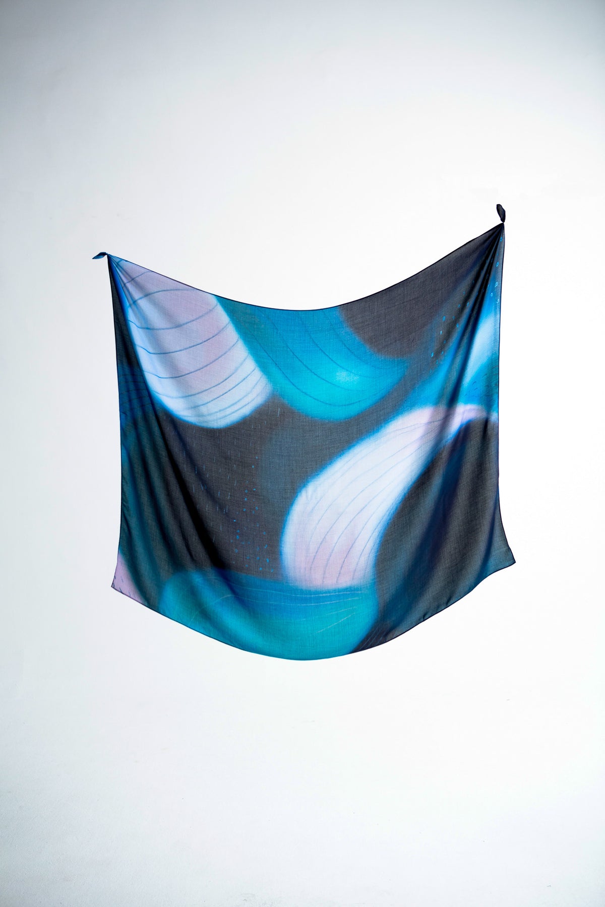 Blue Meridian Scarf