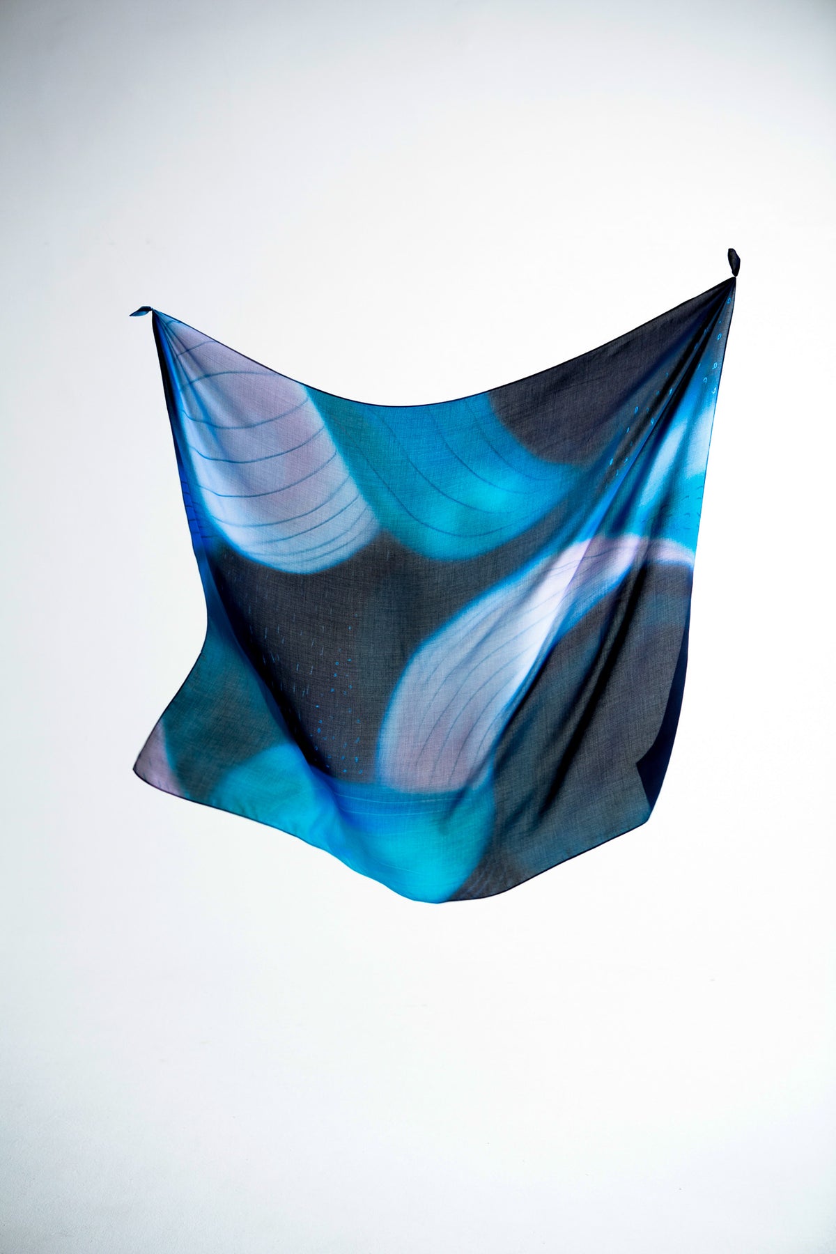 Blue Meridian Scarf
